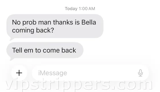 Bella bachelor party review